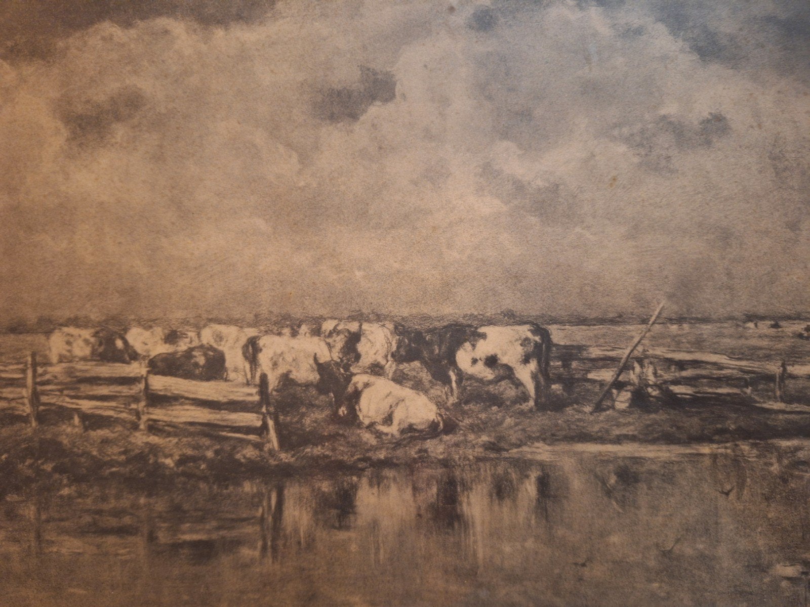 Lithografie 'Koeien' door Willem Roelofs, Antiek en Kunst, Ophalen of Verzenden