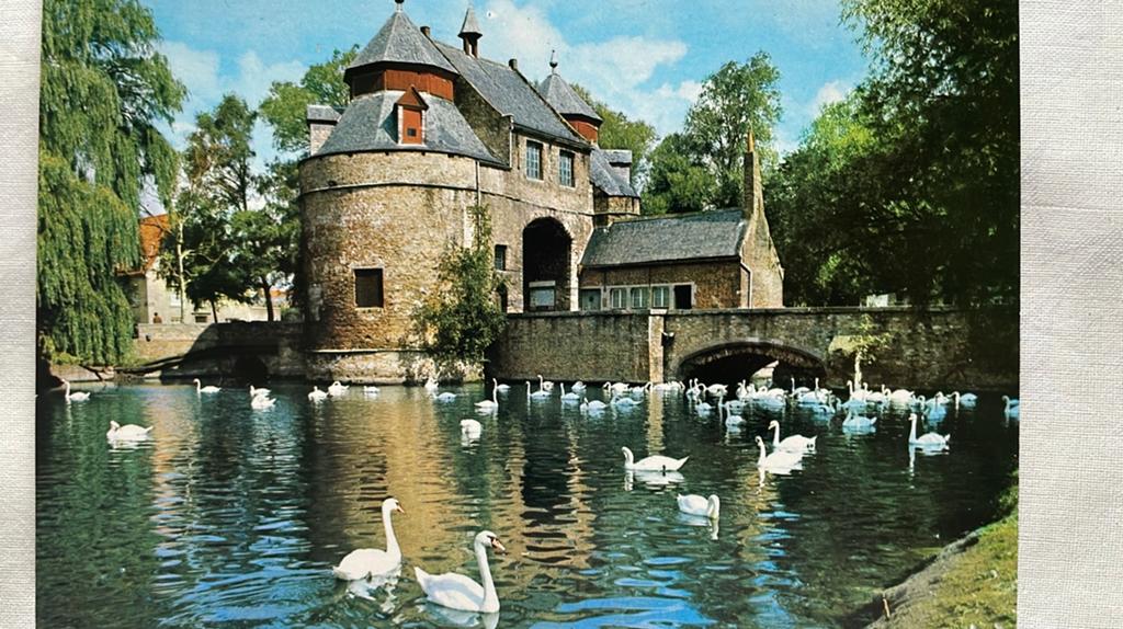 Zwanen zwaan brugge ezelspoort, Verzenden, 1980 tot heden