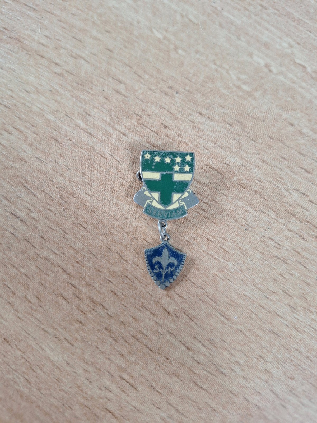 Vintage Scouting Speldje - Groen Schild met Lelie, Ophalen of Verzenden