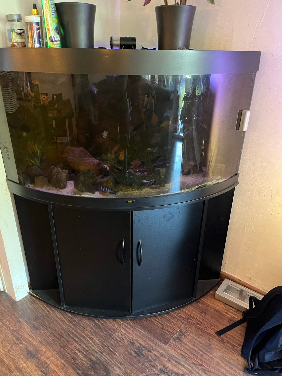 Vis aquarium met onderbouw en kap, Ophalen, Gevuld zoetwateraquarium