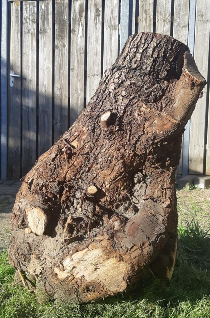 Boomstronk haardhout tuin decoratie, Minder dan 3 m³, Ophalen