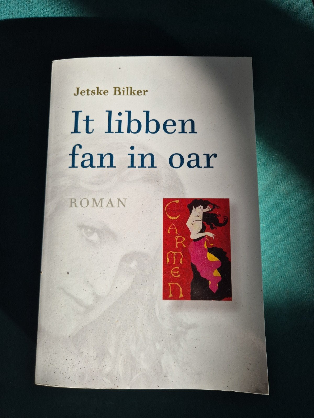 fries boek, Ophalen of Verzenden