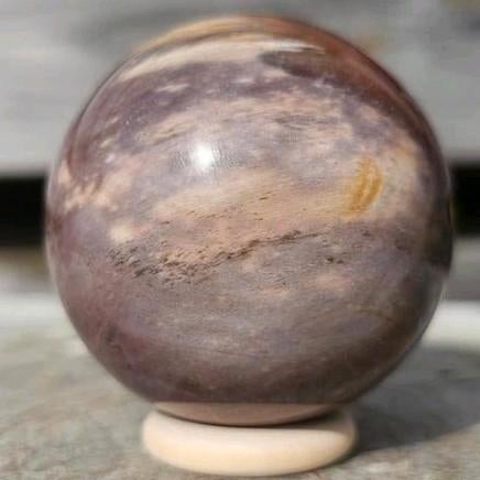 Versteend hout bol 56 mm, Verzamelen, Mineralen en Fossielen, Ophalen of Verzenden