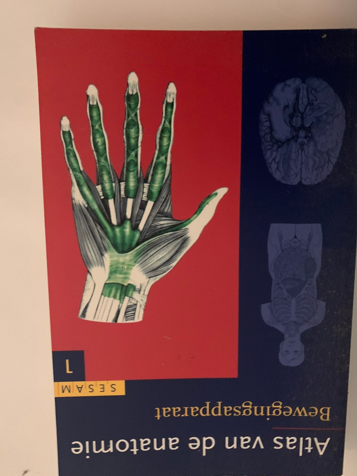 Atlas van de anatomie - Bewegingsapparaat, Ophalen of Verzenden, Beta, Zo goed als nieuw, HBO