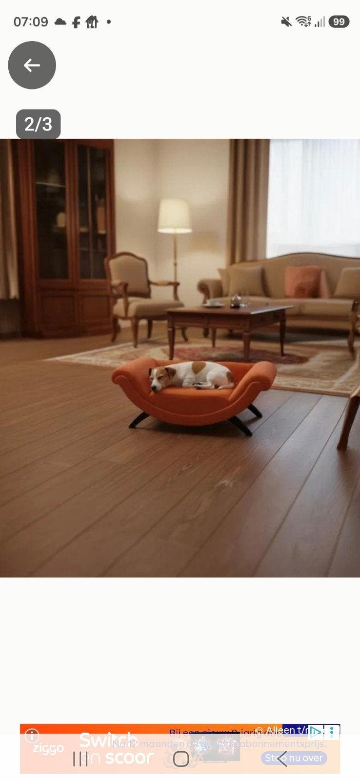 honden mand, Ophalen, Nieuw, Stof