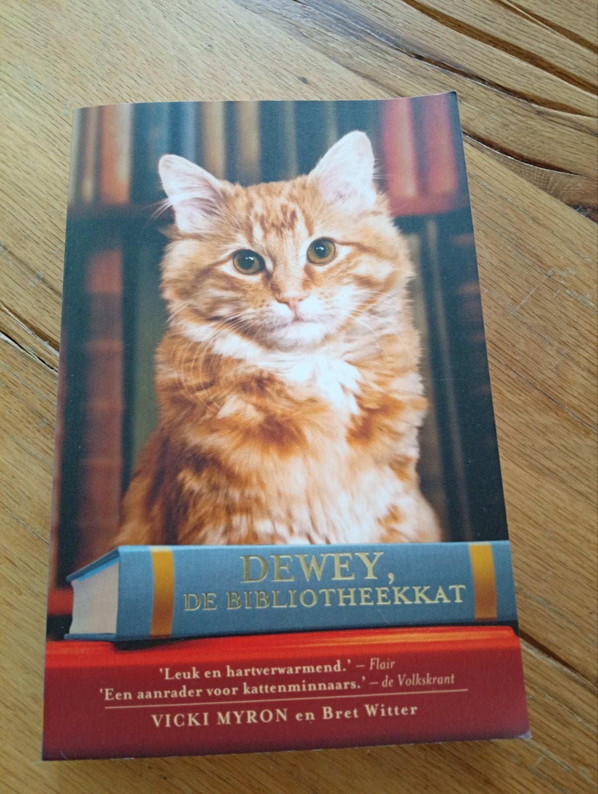 Dewey, de Bibliotheekkat - Vicki Myron en Bret Witter, Gelezen, Ophalen of Verzenden, Nederland, Vicki Myron en Bret Witter