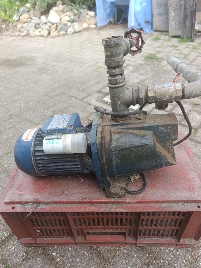 beregeningspomp PEDROLLO JWSm/2BM, Ophalen, Gebruikt, Elektrisch, Beregeningspomp