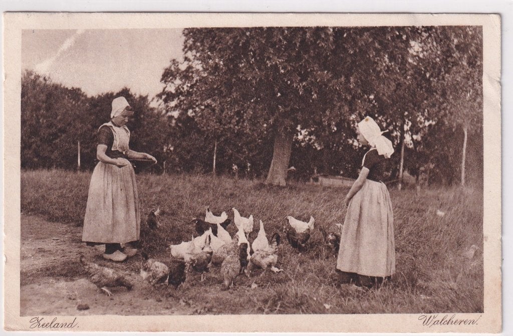 Klederdracht Walcheren met kippen, Verzenden, 1920 tot 1940, Gelopen, Zeeland