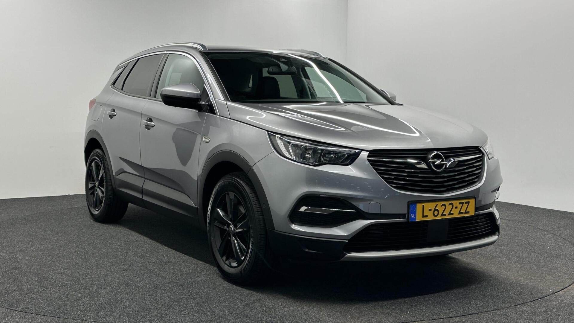 Opel Grandland X 1.2 Turbo Business Executive CAMERA CARPLAY, Gebruikt, 1199 cc, Met garantie (alle), Leder en Stof