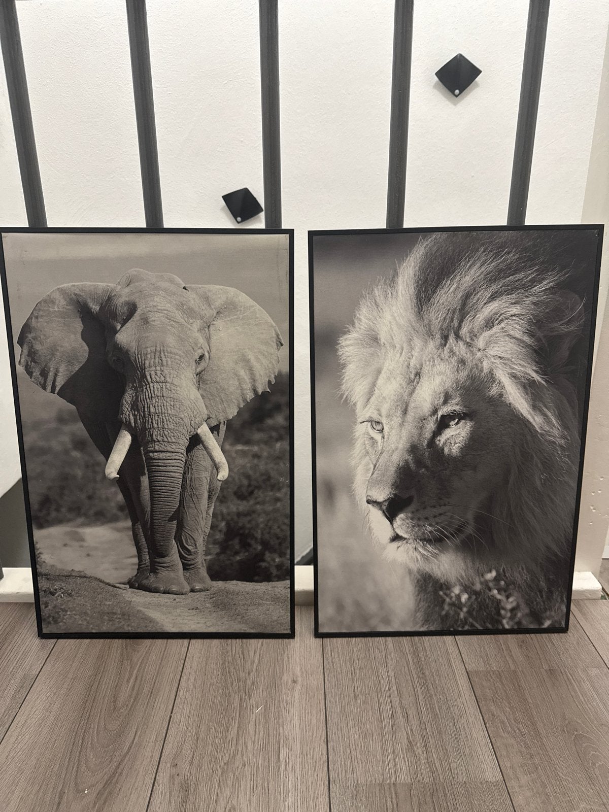 Set van 2 ingelijste posters: Olifant en Leeuw (40x60 cm), Huis en Inrichting, Ophalen, 50 – 75, Minder dan 50 cm, Zo goed als nieuw