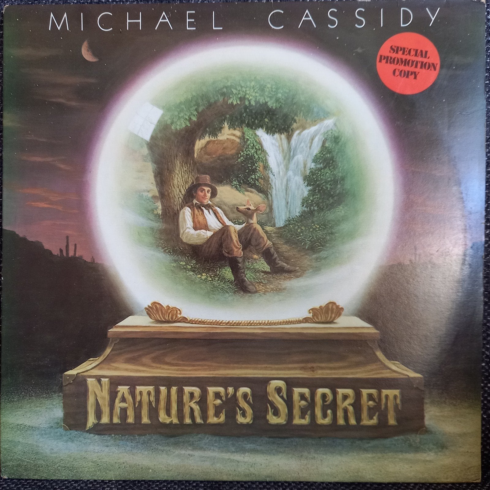 LP Michael Cassidy - Nature's Secret, Ophalen of Verzenden, 12 inch, LP
