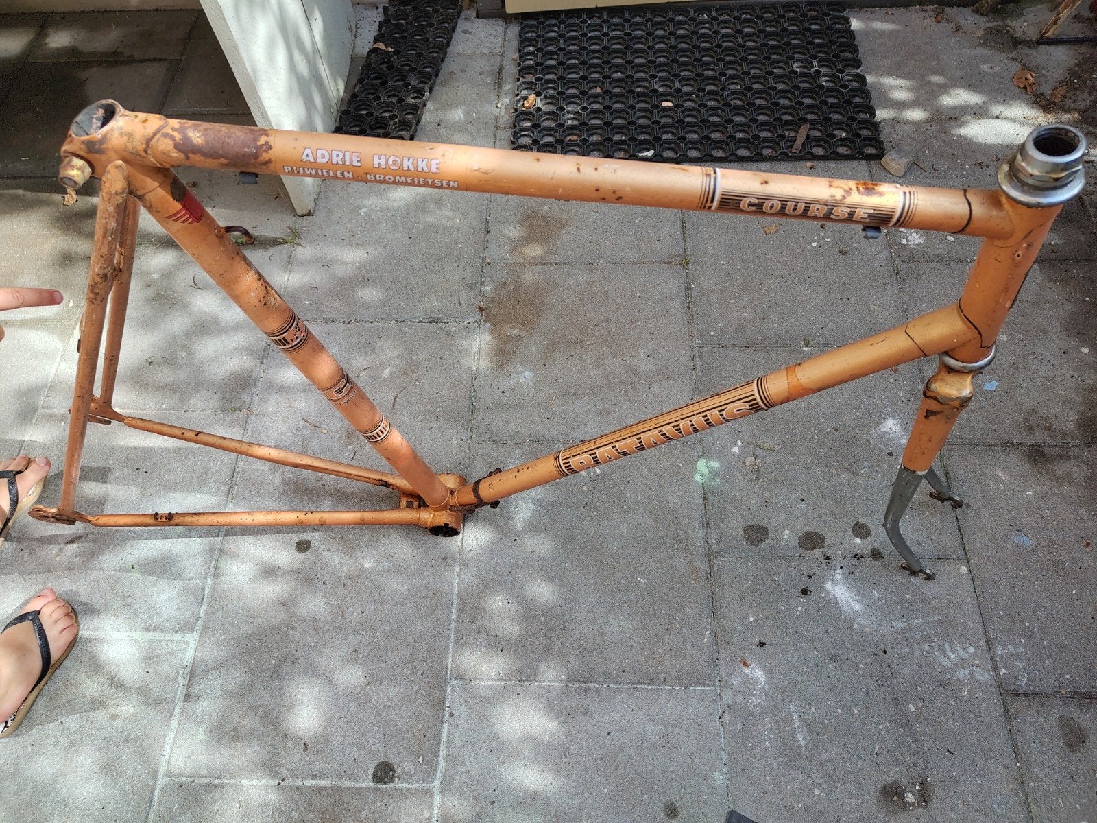 Vintage Batavus Fiets Frame - 59cm - Adrie Hokke Course, Ophalen, Frame, Gebruikt, Batavus