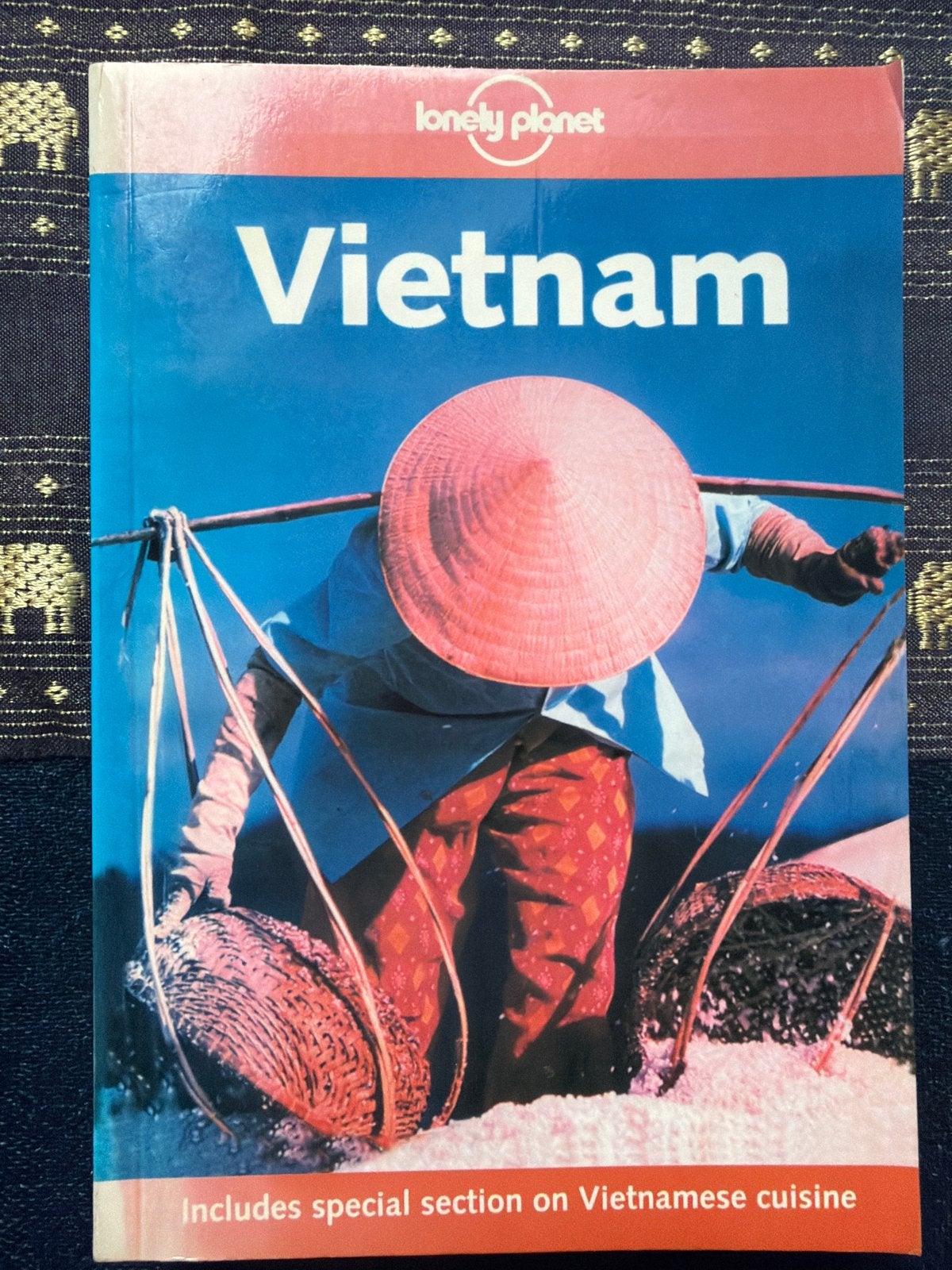 Lonely Planet Vietnam Reisgids - Inclusief Vietnamese keuken, Boeken, Gelezen, Lonely Planet, Ophalen of Verzenden, Reisgids of -boek