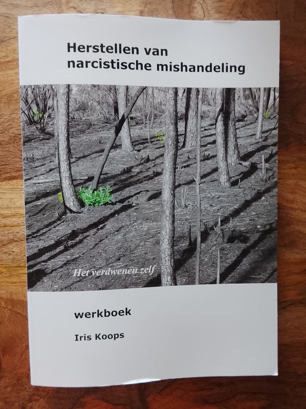 Werkboek Herstellen van narcistische mishandeling, Ophalen of Verzenden, Nieuw, Iris Koops