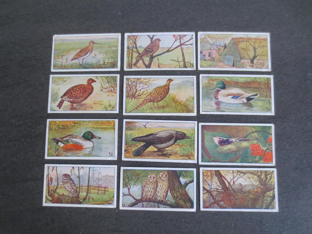 Verkade Verzameling van Plaatjes voor Verkade Album Herfst, Verzamelen, Merken en Reclamevoorwerpen, Ophalen of Verzenden, Zo goed als nieuw