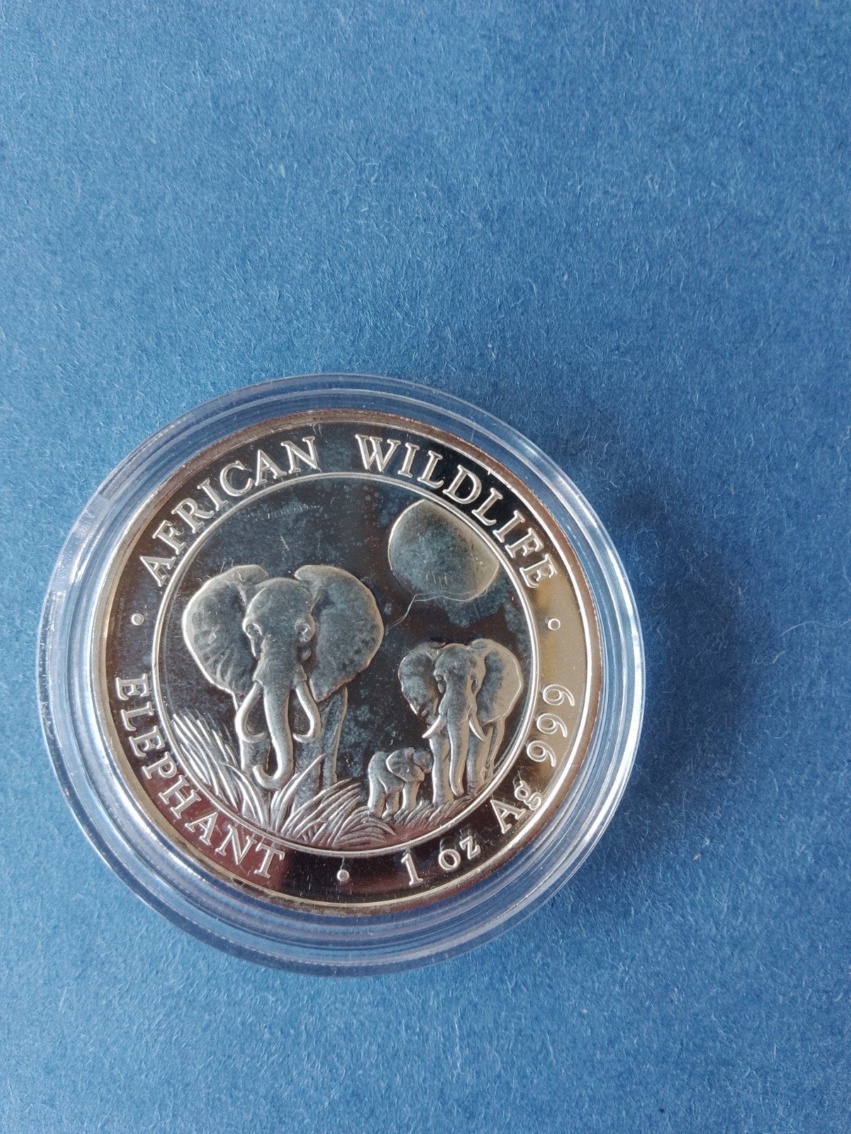 Somalische olifant 2014 1 oz zilver, Postzegels en Munten, Munten | Afrika, Ophalen of Verzenden, Overige landen, Zilver