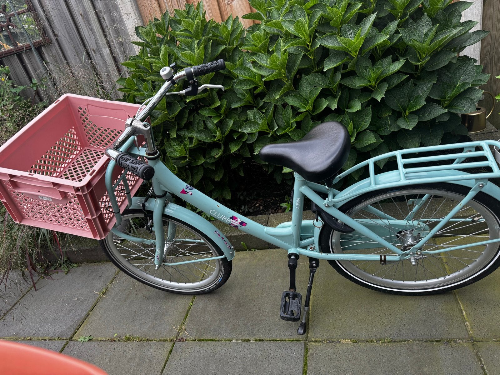Kinderfiets alpina clubb 22 inch met krat en bagagedrager, Fietsen en Brommers, Ophalen, Terugtraprem, 22 inch, Gebruikt