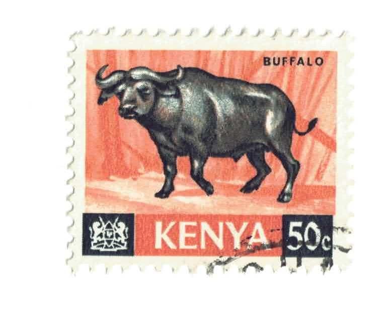 Fauna - Dieren - Buffel - Kenya - 50c - gebr, Ophalen of Verzenden, Gestempeld, Dier of Natuur