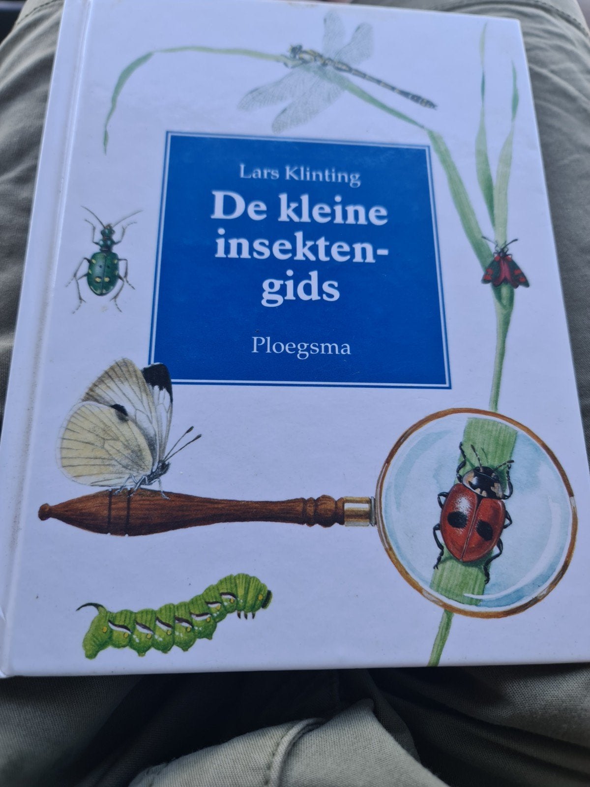 De kleine insektengids - Lars Klinting (gebonden, zgan), Boeken, Ophalen of Verzenden, Zo goed als nieuw, Natuur algemeen, Lars Klinting