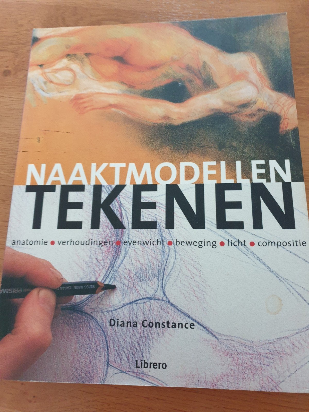 Naaktmodellen Tekenen - Diana Constance (als nieuw), Boeken, Ophalen of Verzenden, Zo goed als nieuw, Schilder- en Tekenkunst