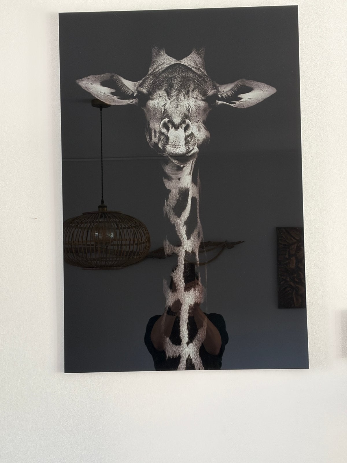 Giraf op glas 60x90, Ophalen