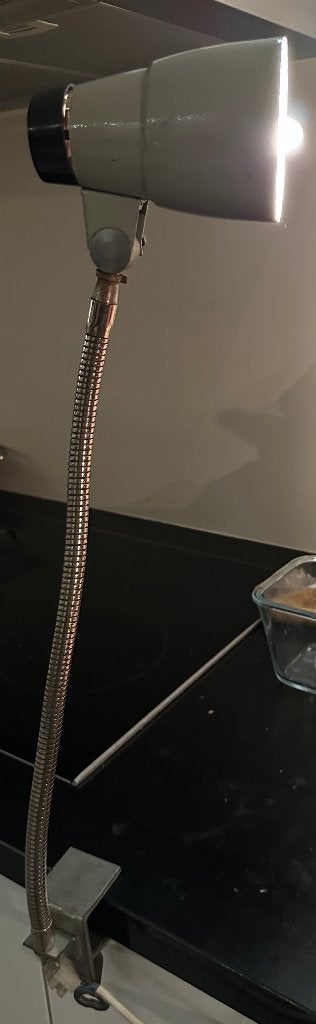 Industriele atelier of machine lamp met gooseneck verst. Arm, Ophalen