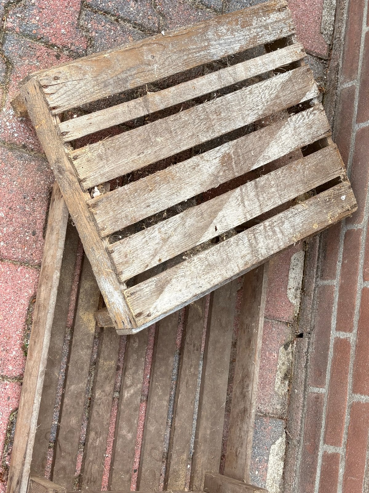 Houten kratten voor de sier, Ophalen, Gebruikt, Minder dan 35 cm, Minder dan 50 cm