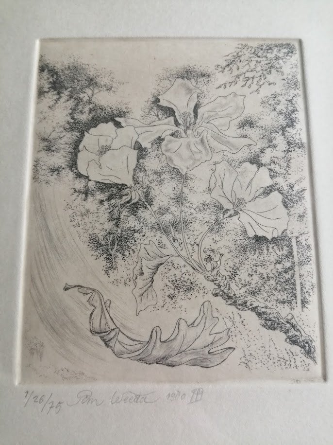 bloemen ets Weeda zwart wit, Antiek en Kunst, Kunst | Etsen en Gravures, Ophalen