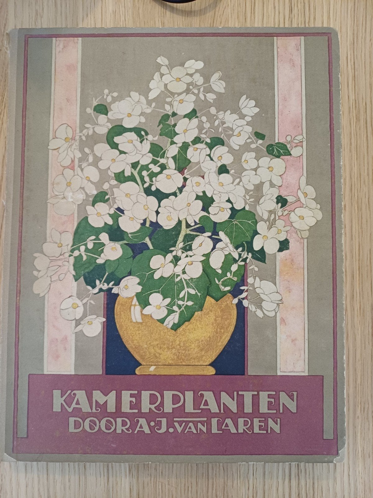 Verkade Album Kamerplanten 1928 - A.J. van Laren, Ophalen of Verzenden, Gelezen, Overige typen