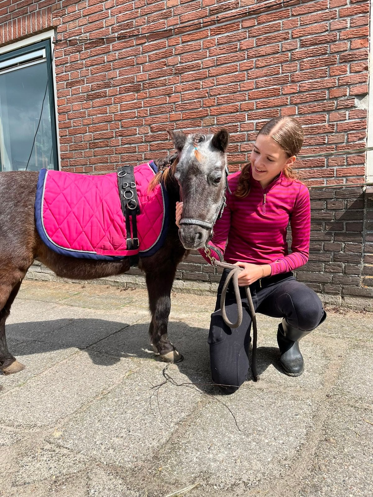 TWEE BIJRIJDERS AANGEBODEN, Dieren en Toebehoren, Paarden en Pony's | Verzorgingsproducten, Ophalen of Verzenden