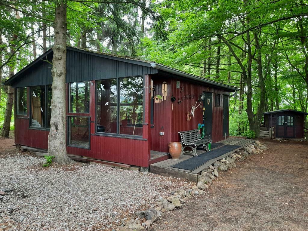 Last minute!  Eifel outdoor 6 pers. Jachthut, Vakantie, Vakantiehuizen | Duitsland, Eifel, Overige typen, Dorp, In bergen of heuvels