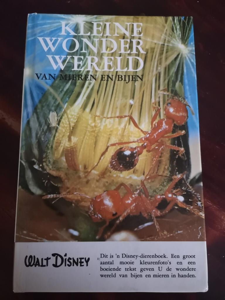 Kleine Wonder Wereld - Walt Disney, Ophalen of Verzenden, Zo goed als nieuw