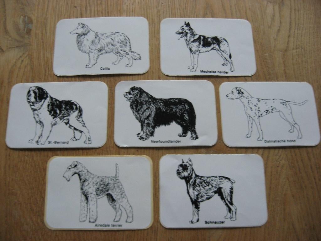 Honden Rassen Stickers, Ophalen, Nieuw, Dier en Natuur