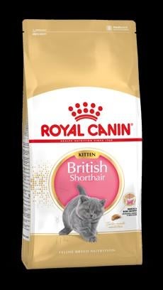 Royal Canin kattenvoer en hondenvoer aanbieding!!!, Dieren en Toebehoren, Dierenvoeding, Ophalen, Kat