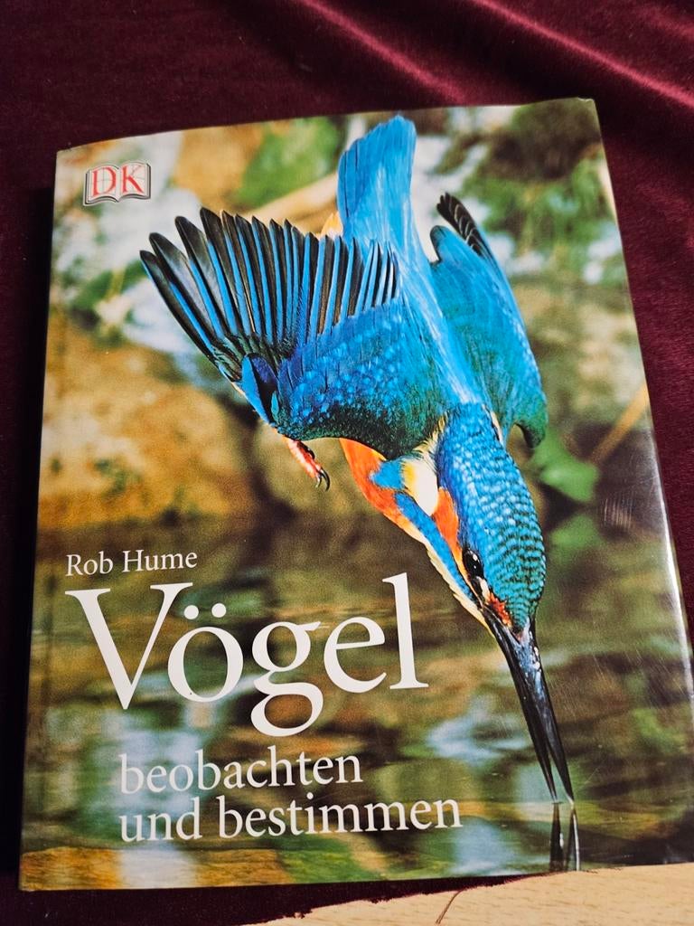 Vogel, Ophalen of Verzenden, Zo goed als nieuw, Vogels