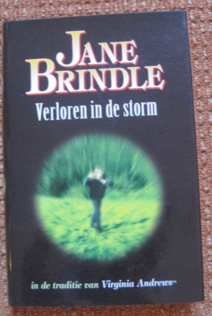Boek Verloren in de storm - Jane Brindle, Boeken, Ophalen of Verzenden, Gelezen