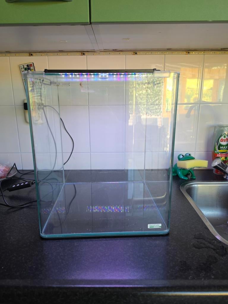 30L aquarium met lamp + NIEUWE verwarming (55W), Ophalen, Zo goed als nieuw, Leeg aquarium