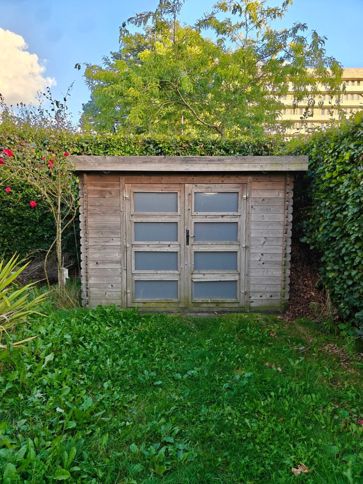 Houten schuur 277x227x210 cm - goede staat - zelf demonteren, Tuin en Terras, Ophalen, Gebruikt, Schuur, Zonder ramen