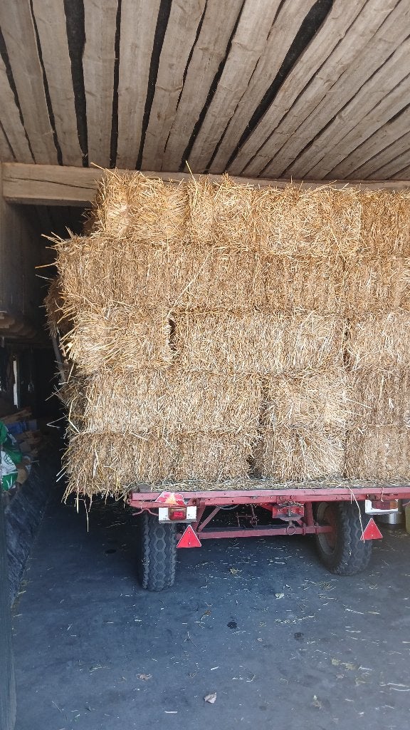 Kleine baaltjes tarwestro zelf van het land te laden, Ophalen, Vee
