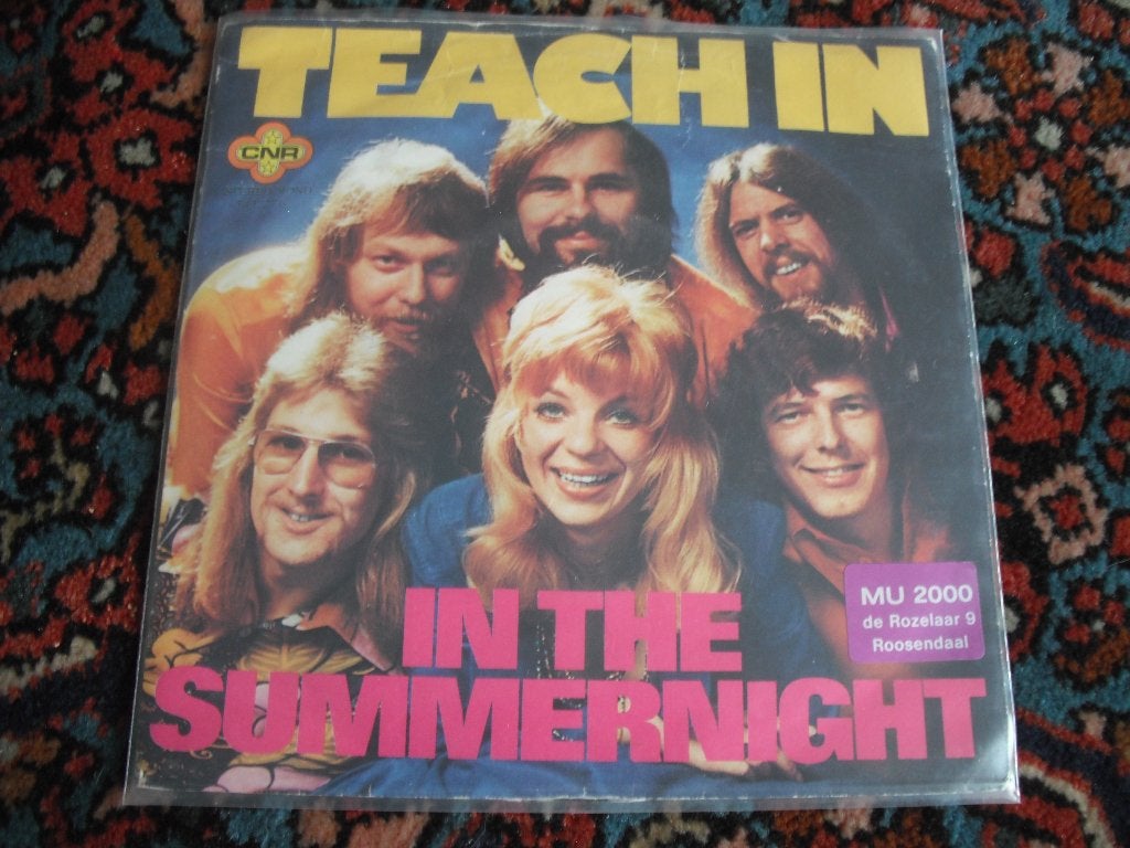 Teach In - In the Summernight (tk), Cd's en Dvd's, Ophalen of Verzenden, Zo goed als nieuw, Pop