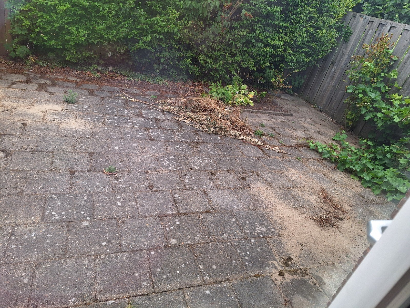 aangeboden tuin ondkruid verwijderen, Ophalen of Verzenden, Nieuw