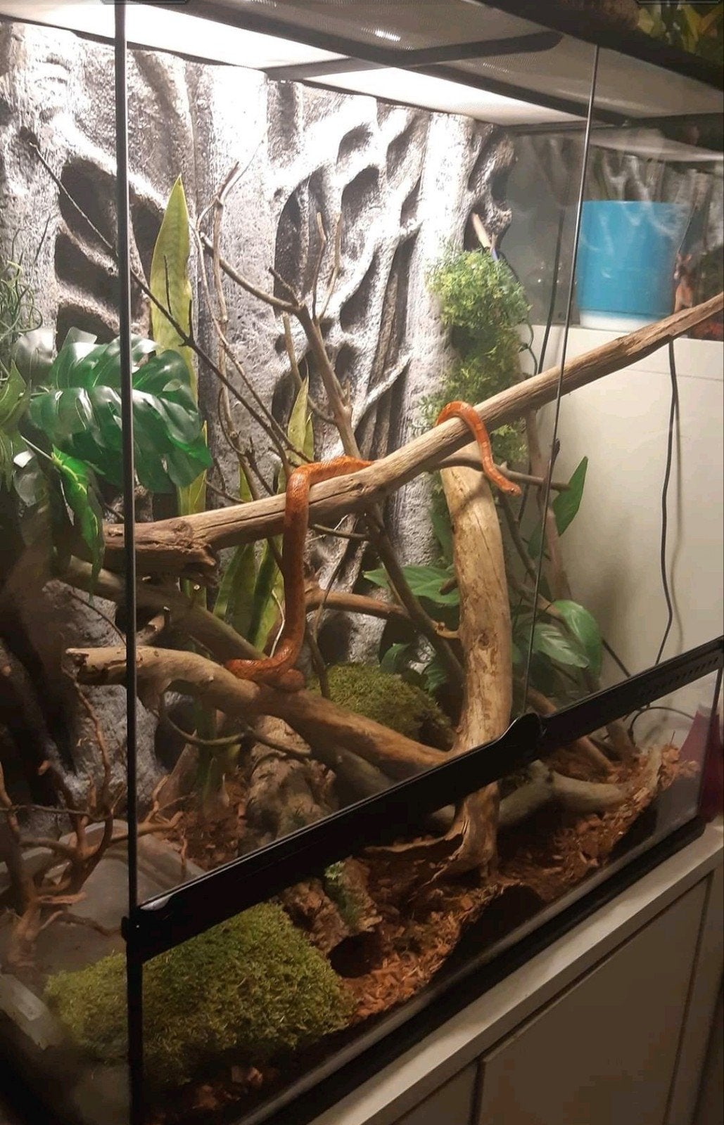 Exo Terra terrarium 90x45x90 cm met lichtkap, Ophalen, Zo goed als nieuw, Terrarium of Paludarium