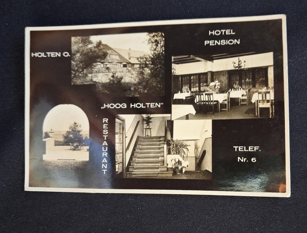 Holten, Hotel-Pension-Restaurant Hoog Holten, Ophalen of Verzenden, Ongelopen, Overijssel
