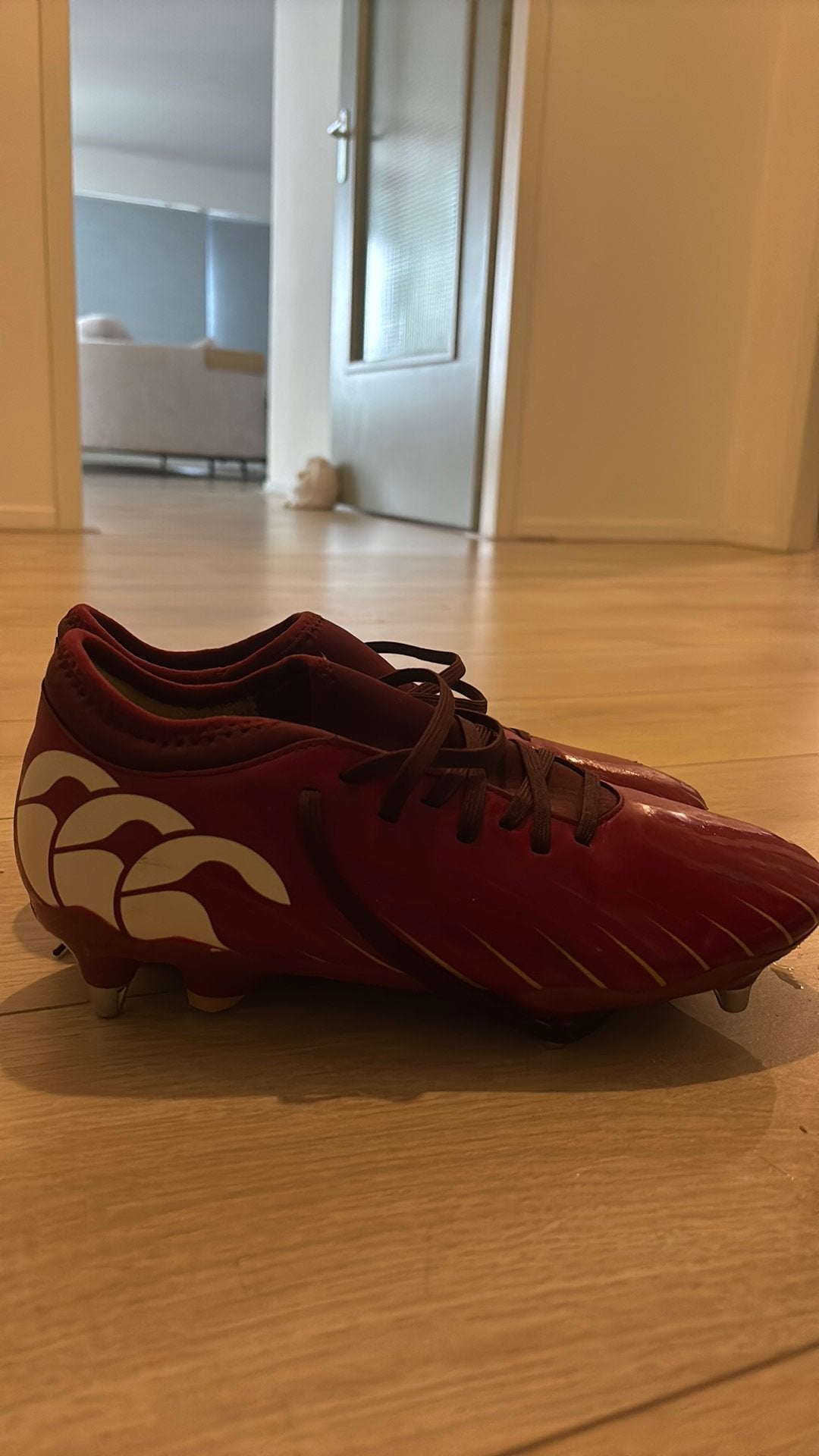 Canterbury rugby schoenen, Ophalen, Zo goed als nieuw, Schoenen