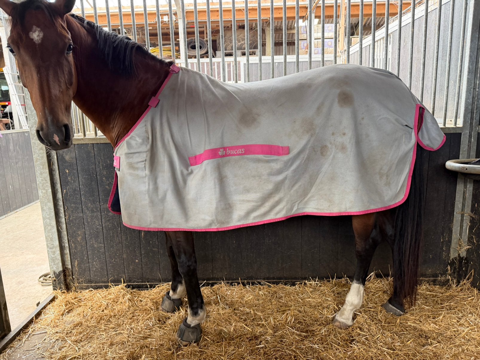Bucas Buzz Off 185, Dieren en Toebehoren, Paarden en Pony's | Dekens en Dekjes, Ophalen of Verzenden, Zo goed als nieuw