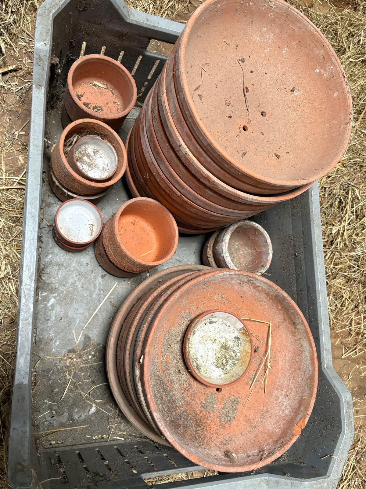 Div voerdakjes en broedschalen voor duiven, Ophalen, Eten en Drinken