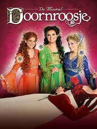 2x kaartjes musical K3 Doornroosje, de Panne, Tickets en Kaartjes, Theater | Musical, Twee personen, Mei