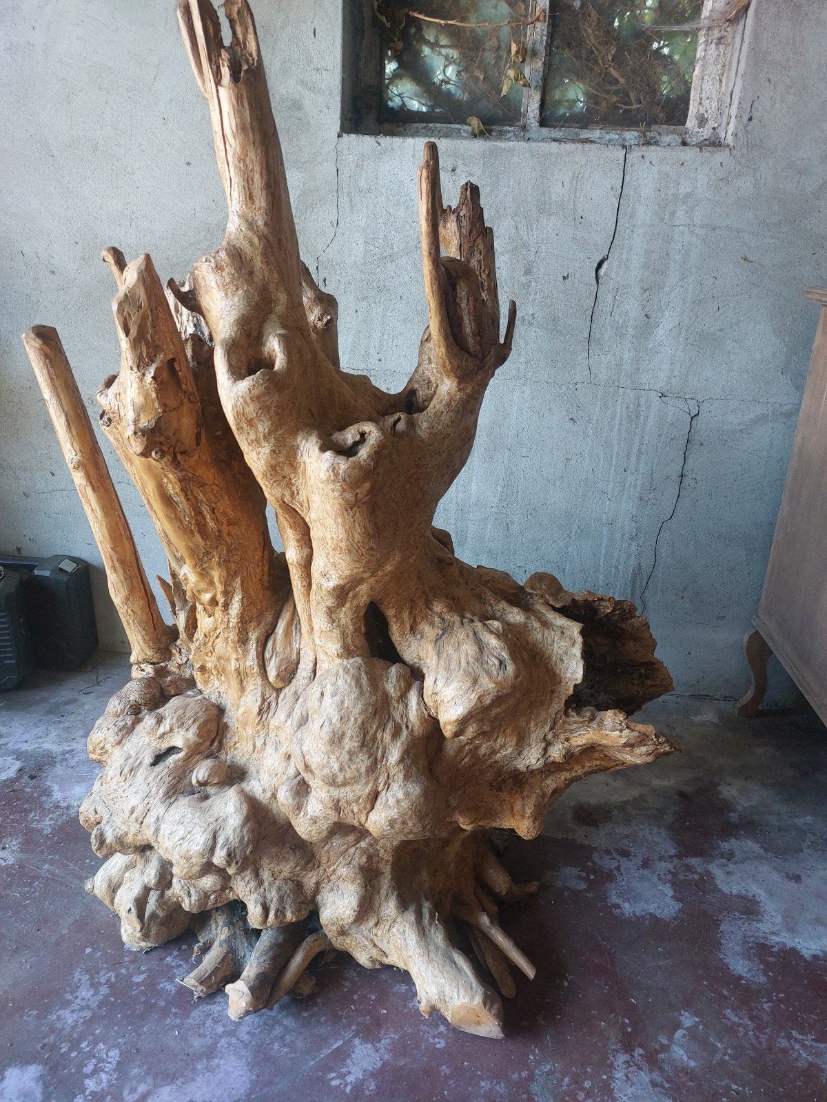 Prachtige teak wortelhouten stronk., Ophalen, Hout