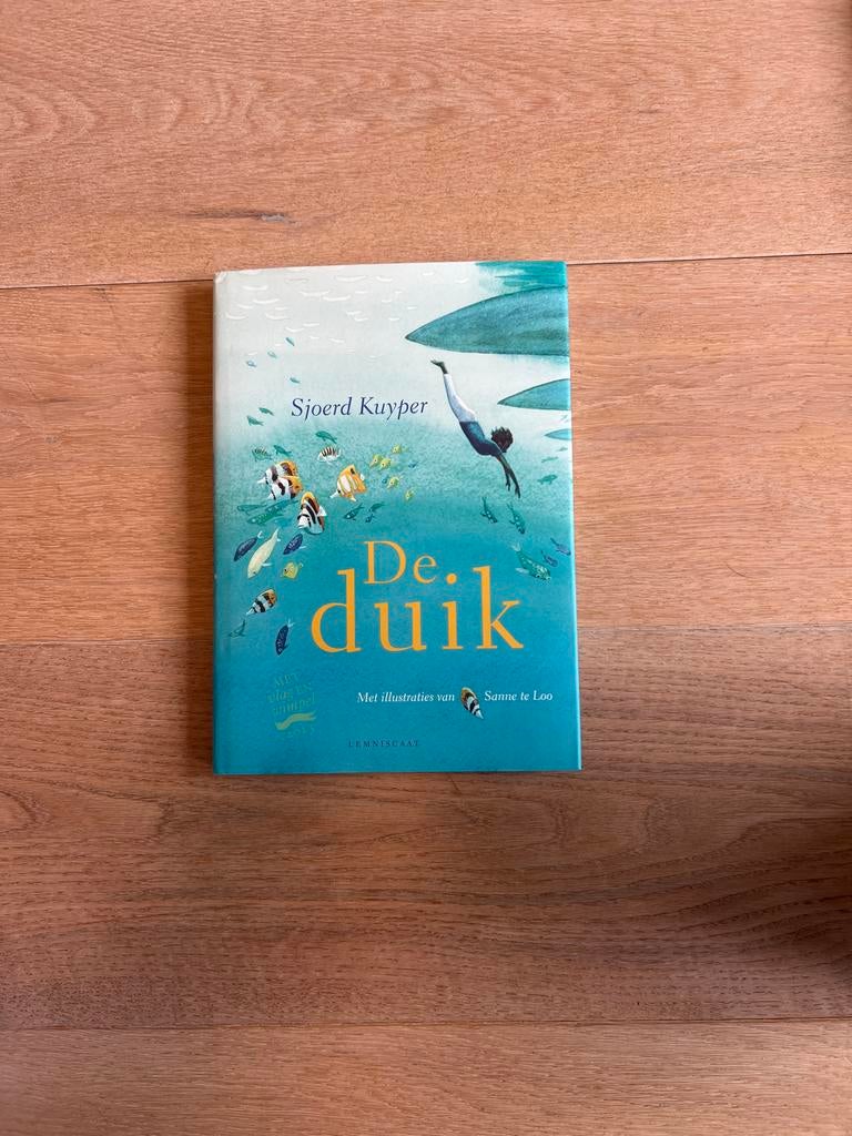 De Duik - Sjoerd Kuyper (Met Vlag en Wimpel 2013), Ophalen, Zo goed als nieuw