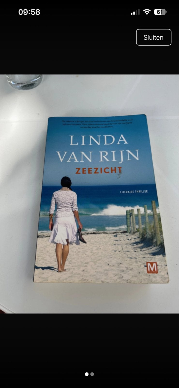 Linda van Rijn - Zeezicht (Literaire thriller), Boeken, Ophalen of Verzenden, Gelezen, Nederland